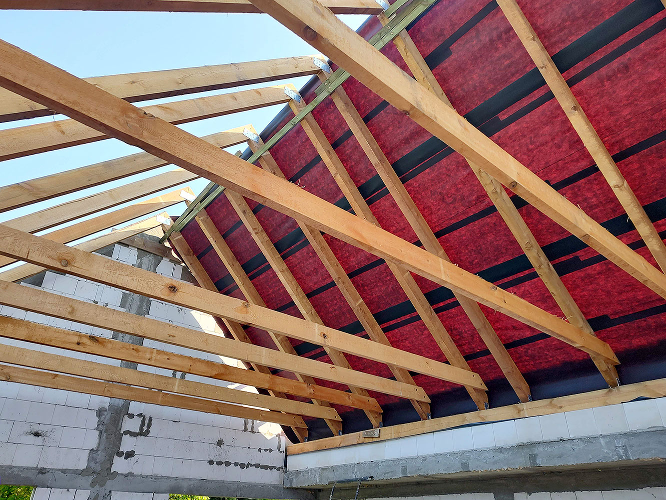 IMG_20250612_081614933_HDR