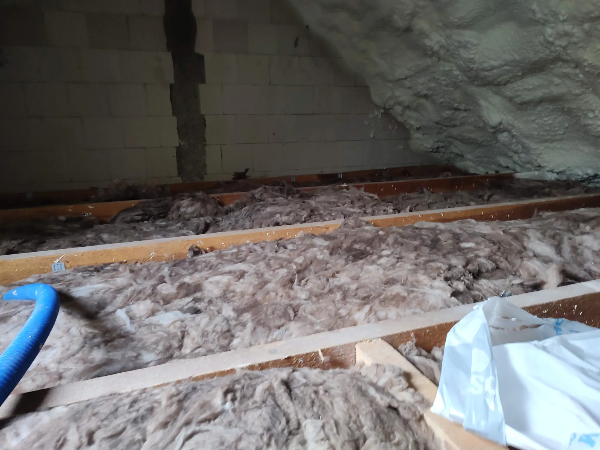 IMG_20251204_093537660